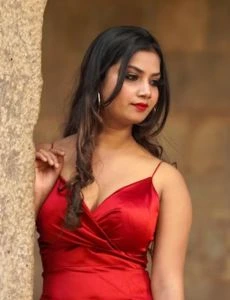 call girl service in Pappireddipatti